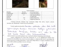 YIKILACAK DERECEDE TEHLİKELİ YAPILAR RAPORU 02