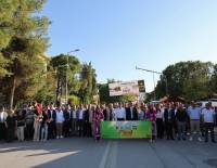 ÇİVRİL DENİZLİ’NİN EN BÜYÜK FESTİVALİNİ YAPTI