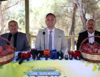 ÇİVRİL ELMA FESTİVALİ 10  EYLÜL’DE BAŞLIYOR