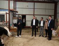 BAŞKAN DERE KIRALAN MAHALLESİ'NDE ŞAP'TAN MAĞDUR OLAN ÜRETİCİYİ ZİYARET ETTİ